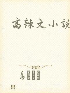 高辣文小说