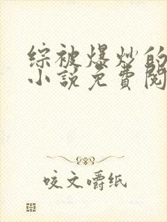 综被爆炒的日常小说免费阅读