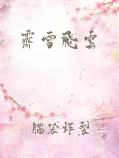 霁雪飞云