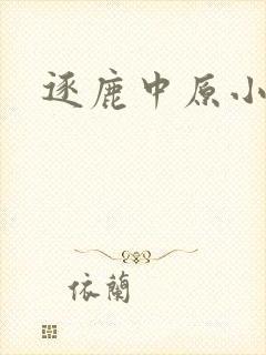 逐鹿中原小说