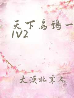 天下乌鸦一般黑1V2