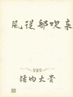 风从那吹来小说