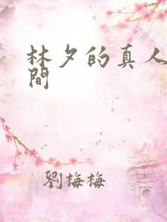 林夕的真人娃娃间