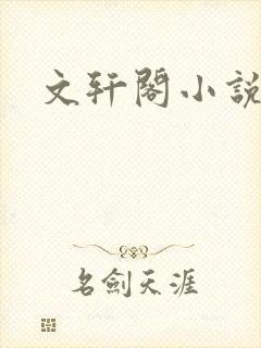 文轩阁小说网