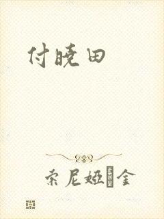 付晓田