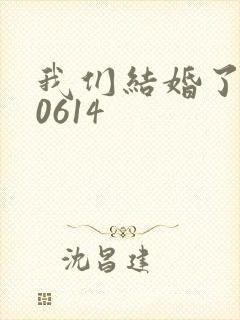 我们结婚了130614