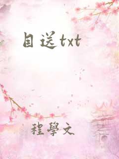 目送txt