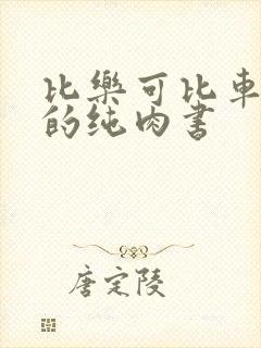 比乐可比车速快的纯肉书
