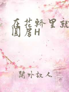 在花轿里就开始圆房H