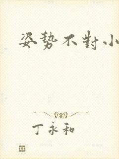 姿势不对小说