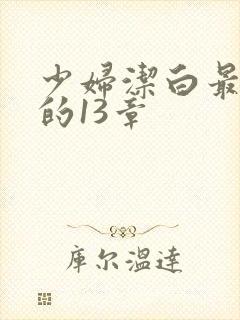少妇洁白最刺激的13章