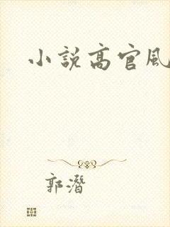 小说高官风流