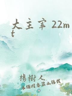 大主宰 22mt