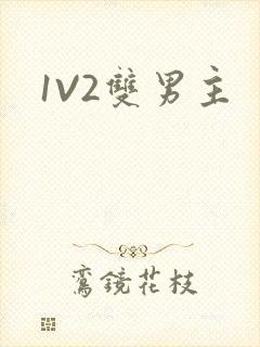 1V2双男主