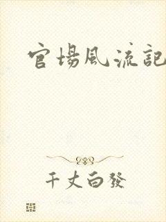 官场风流记