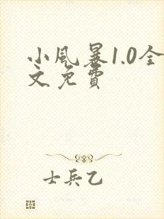 小风暴1.0全文免费