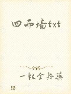 四面墙txt