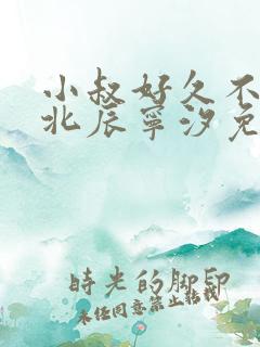 小叔好久不见顾北辰宁汐免费阅读