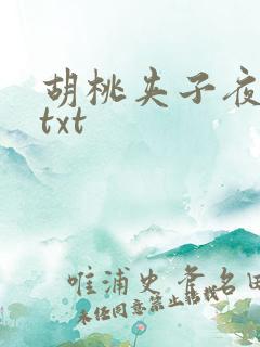 胡桃夹子夜未眠txt