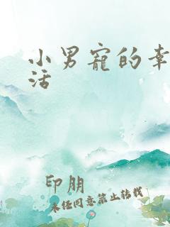 小男宠的幸福生活