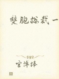 双胞总裁一个妻