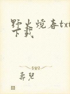 野火烧春txt下载
