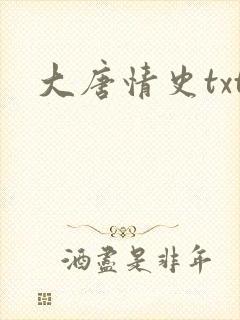大唐情史txt