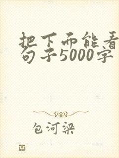 把下面能看湿的句子5000字