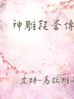 神雕段誉传