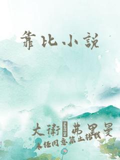 靠比小说