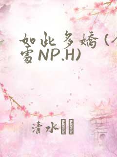 如此多娇 (全处NP.H)