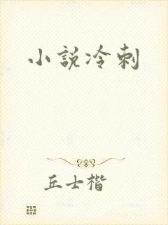 小说冷刺