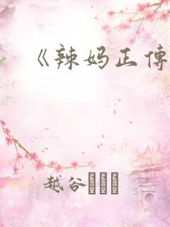 《辣妈正传》