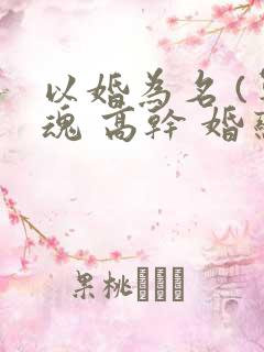以婚为名 (军魂 高干 婚恋)