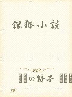 银狐小说