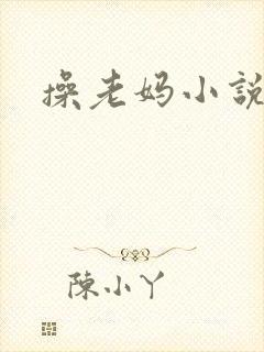 操老妈小说
