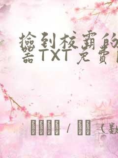 捡到校霸的遥控器TXT免费阅读