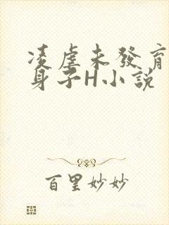 凌虐未发育的小身子H小说