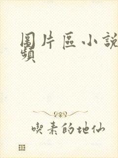 图片区小说区视频