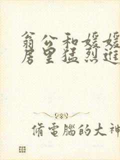 翁公和媛媛在厨房里猛烈进出