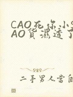 CAO死你小SAO货湿透了学长