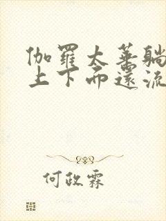 伽罗太华躺在床上下面还流东西