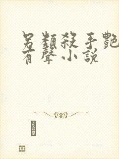 另类杀手艳福星有声小说