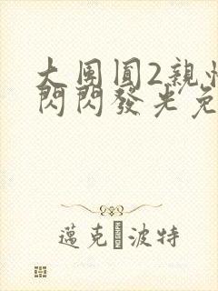 大团圆2亲情会闪闪发光免费