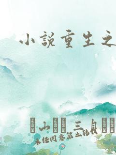 小说重生之官道