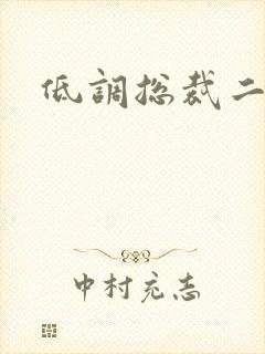 低调总裁二手妻