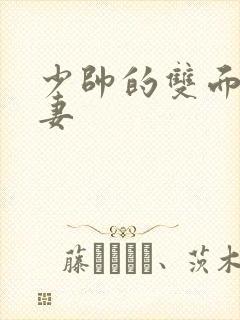 少帅的双面小娇妻