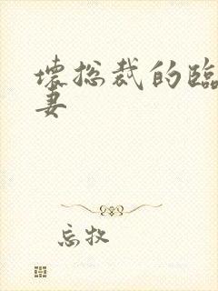 坏总裁的临时娇妻