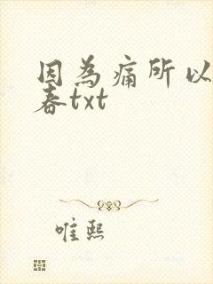 因为痛所以叫青春txt