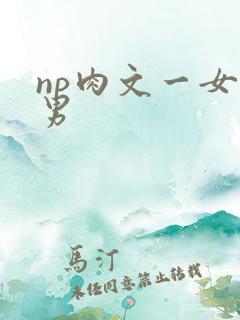 np肉文一女多男